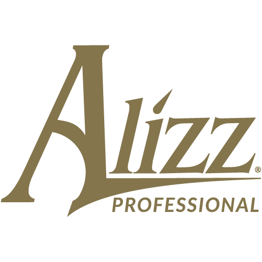 Alizz LLC usa